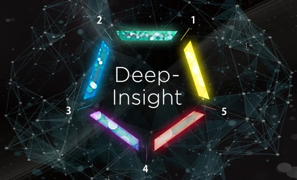 Технологическая концепция DeepInsight