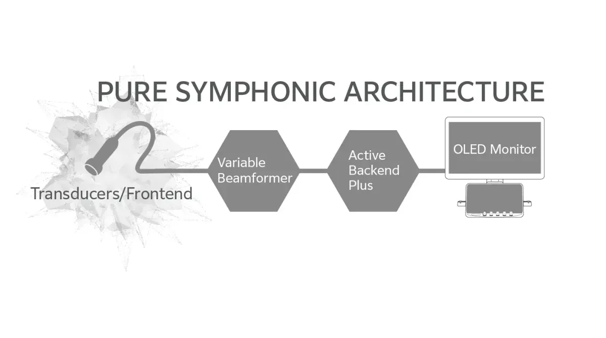 PURE SYMPHONIC ARCHITECTURE в Fujifilm Arietta 750