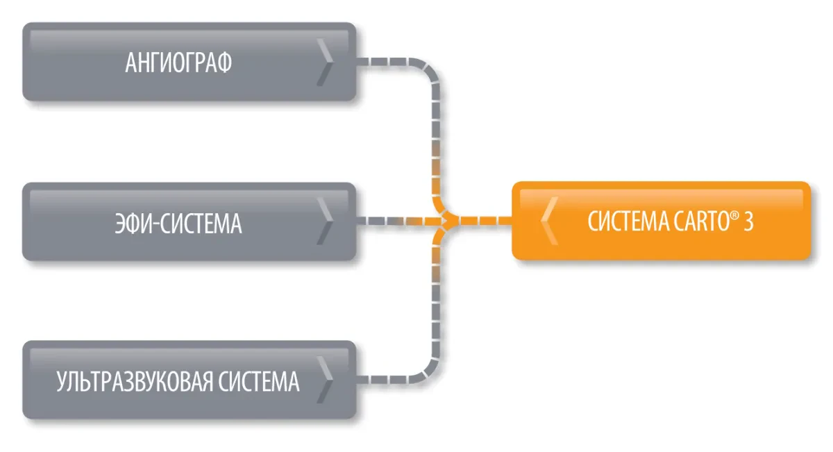 интеграция в Biosense Webster CARTO 3