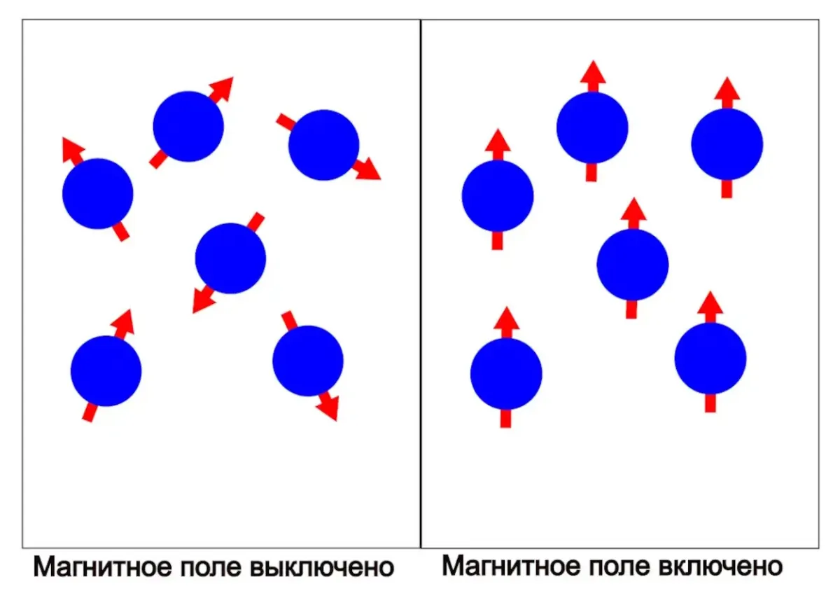 Магнитное поле